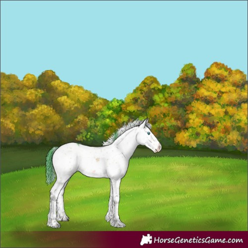 Horse Color:Watercolor Chocolate Brown Ice Onyx Mushroom Sabino Splash 