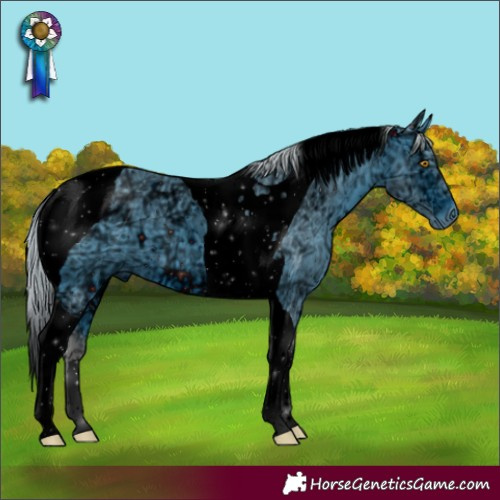 Horse Color:ERROR: UNKNOWN ANOMALY