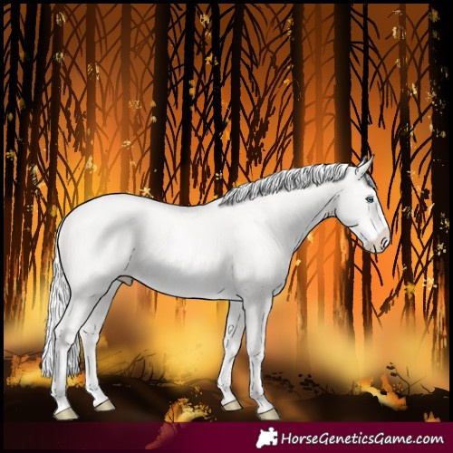 Horse Color:Silver Smoky Creme Frame