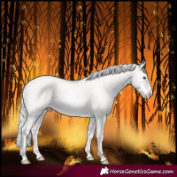 Horse Color:Silver Smoky Creme Frame