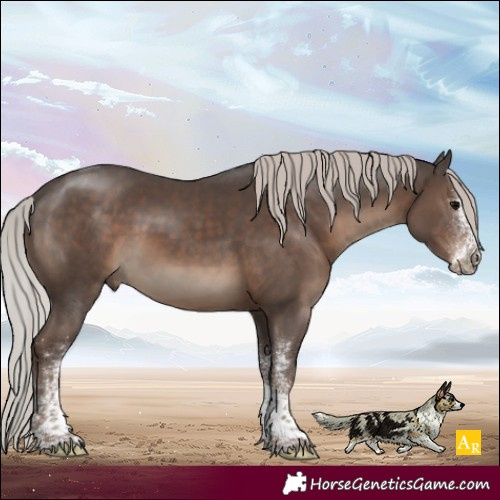 Horse Color:White Spotted Silver Black Tobiano