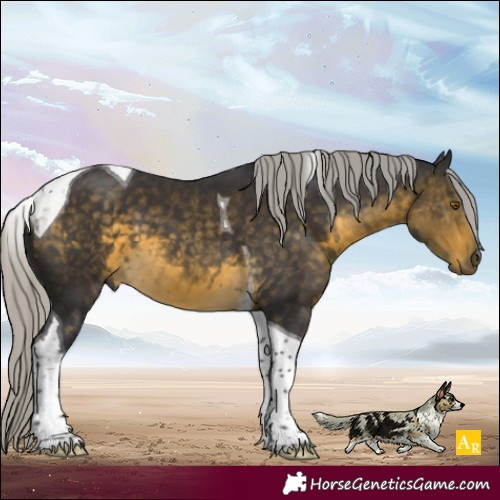 Horse Color:Silver Buckskin Tobiano 