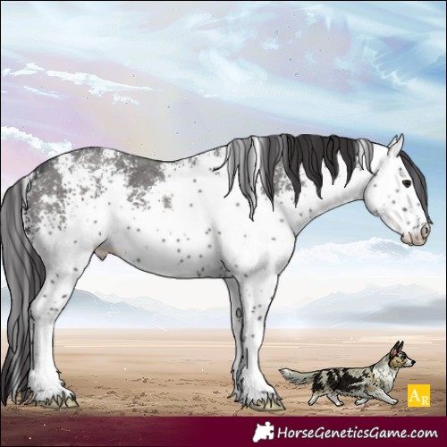 Horse Color:White Spotted Smoky Black Mushroom