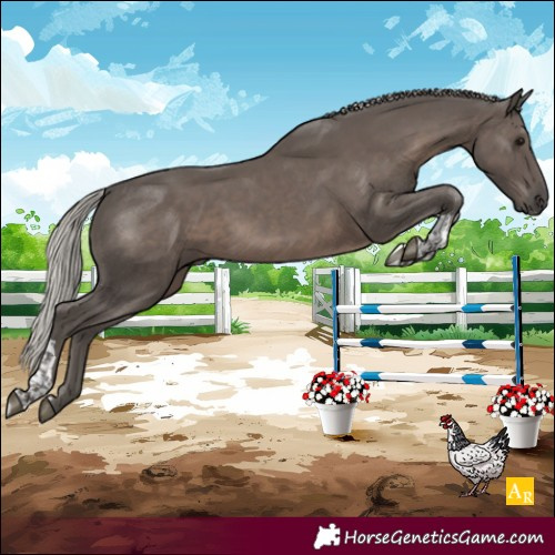 Horse Color:Silver Black Tobiano 