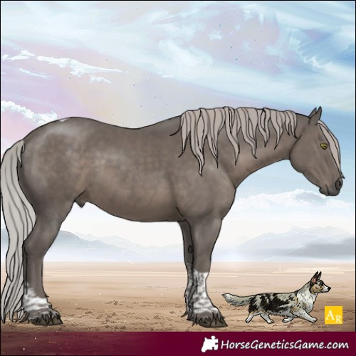 Horse Color:Silver Black Mushroom Tobiano