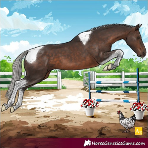 Horse Color:Silver Brown Tobiano 