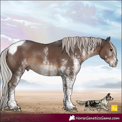 Horse Color:White Spotted Silver Black Tobiano