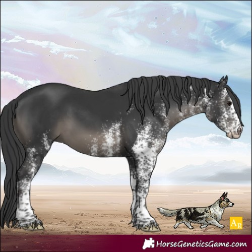 Horse Color:White Spotted Black Mushroom 
