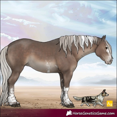 Horse Color:White Spotted Silver Black Tobiano 