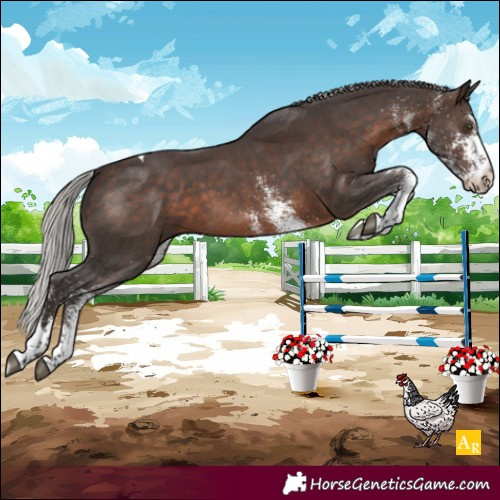 Horse Color:White Spotted Silver Brown Tobiano 