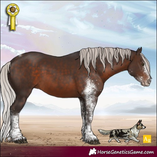 Horse Color:White Spotted Silver Brown Tobiano 