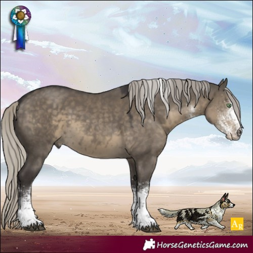 Horse Color:White Spotted Silver Smoky Grullo Tobiano 