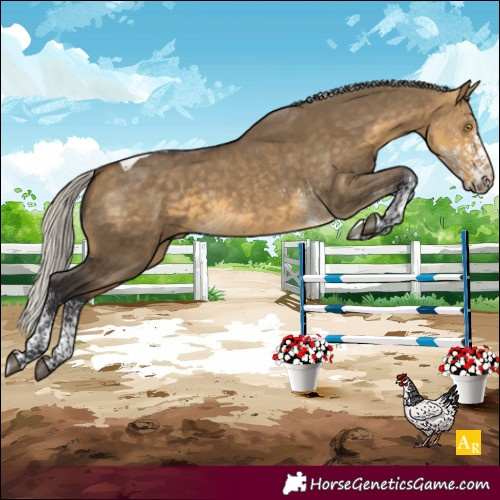 Horse Color:White Spotted Silver Buckskin Dun Tobiano 