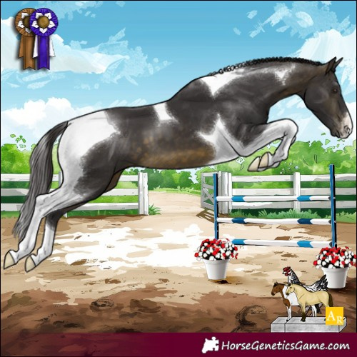 Horse Color:Buckskin Tobiano 