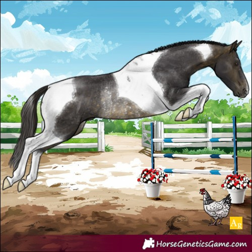 Horse Color:Buckskin Tobiano Rabicano