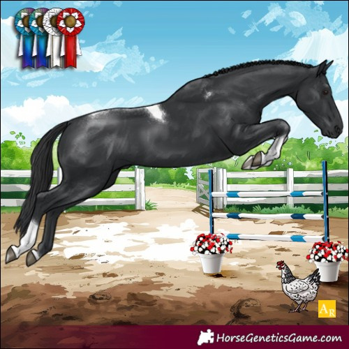 Horse Color:Black Tobiano 