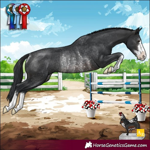 Horse Color:Brown Rabicano 