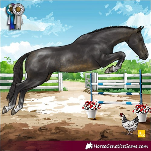 Horse Color:Unknown 
