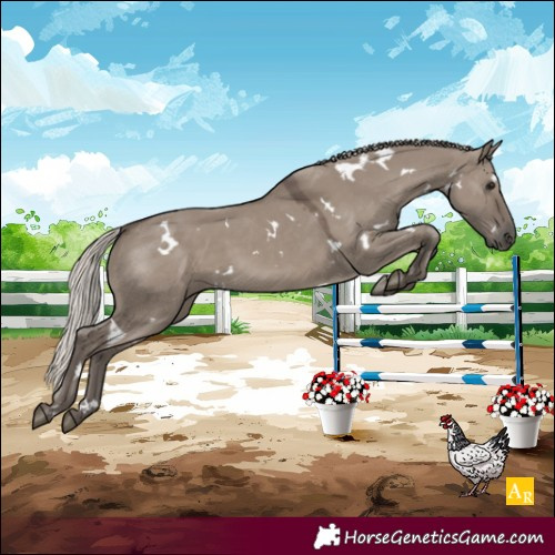 Horse Color:White Spotted Silver Grullo
