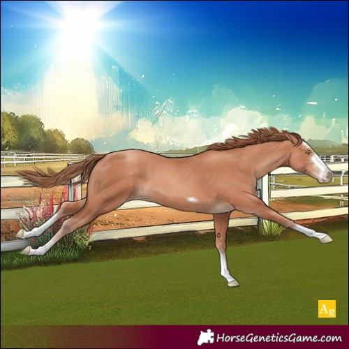 Horse Color:Gold Champagne