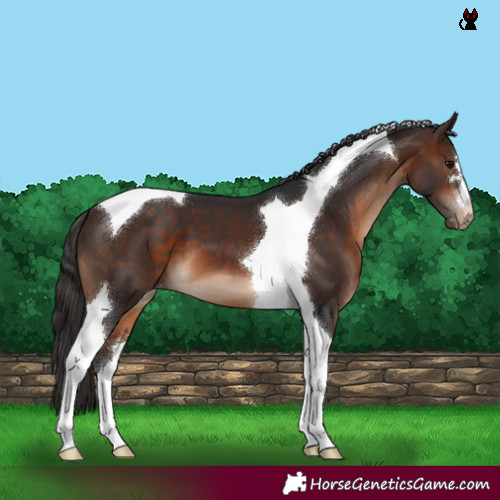 Horse Color:Brown Tobiano Varnish 