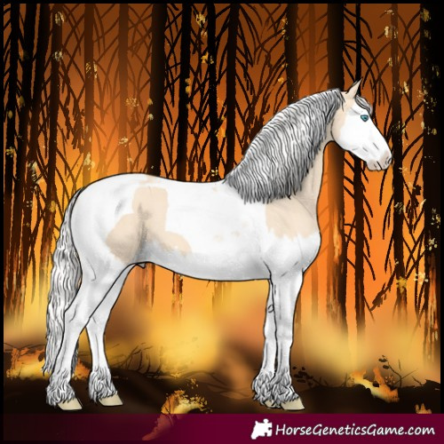 Horse Color:Silver Amber Champagne Dun Splash Tobiano Varnish