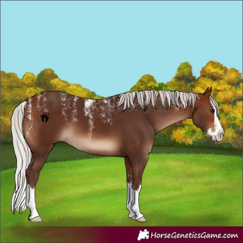 Horse Color:Powder White Silver Brown Splash