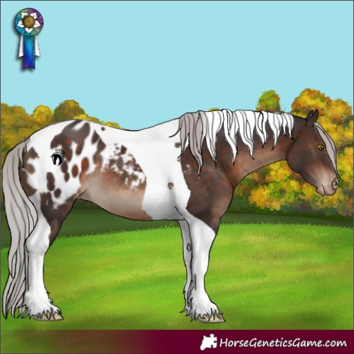 Horse Color:Silver Brown Tobiano Near Leopard Rabicano 