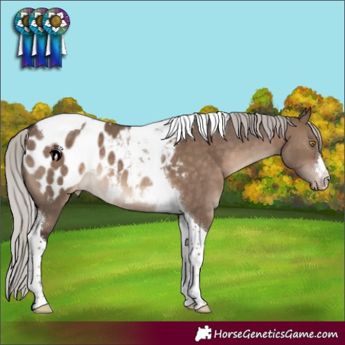 Horse Color:Silver Brown Dun Tobiano Blanket Rabicano