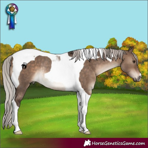 Horse Color:Silver Brown Dun Tobiano Rabicano 