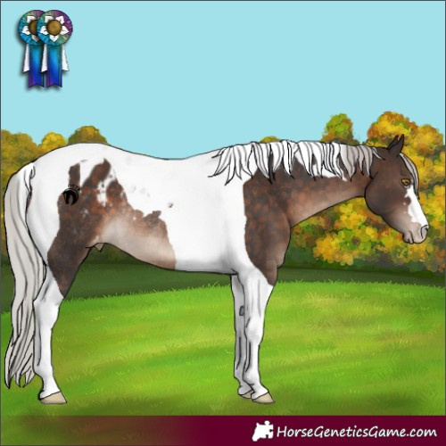 Horse Color:Silver Brown Tobiano Blanket Rabicano 