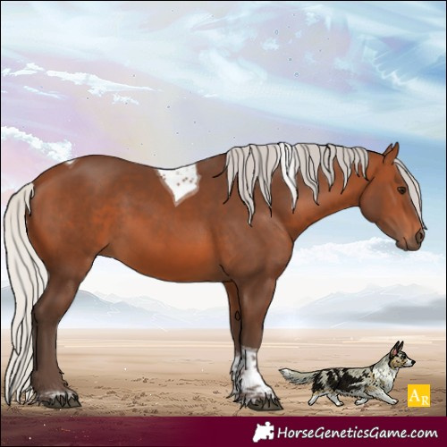 Horse Color:Silver Brown Tobiano Rabicano 