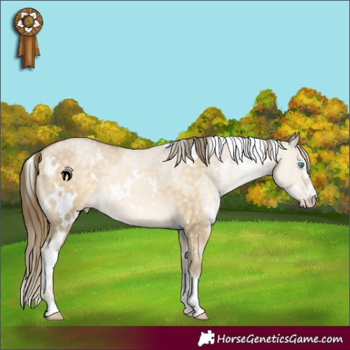 Horse Color:White Spotted Buckskin Pearl Dun Rabicano 