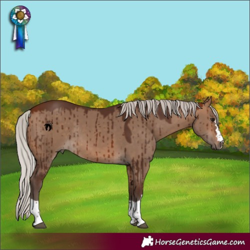 Horse Color:Silver Bay Dun Rabicano Brindle