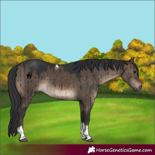 Horse Color:Brown Dun Tobiano Brindle