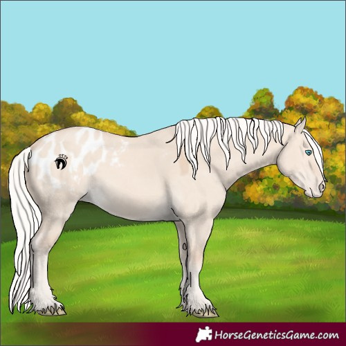 Horse Color:Silver Perlino Dun Blanket