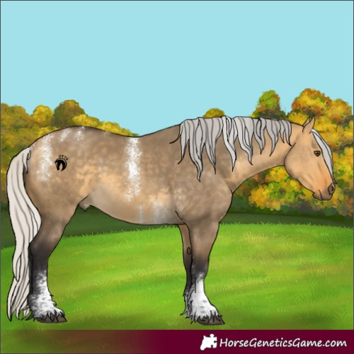 Horse Color:Powder White Silver Buckskin Dun Sabino 