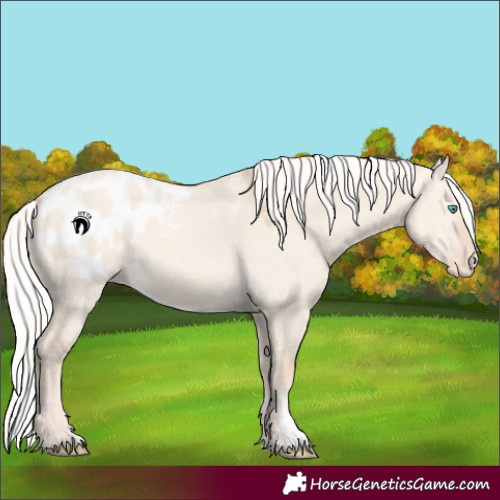 Horse Color:Powder White Silver Perlino Dun Blanket 