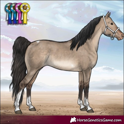 Horse Color:Brown Dun Tobiano Varnish Rabicano 