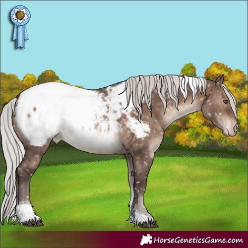 Horse Color:Silver Brown Dun Mushroom Tobiano Near Fewspot Brindle