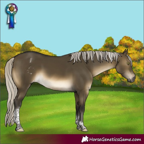 Horse Color:Gray Silver Buckskin Dun Mushroom Tobiano Varnish Rabicano