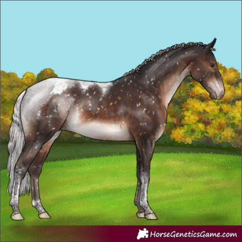 Horse Color:Silver Brown Mushroom Tobiano Blanket Rabicano 