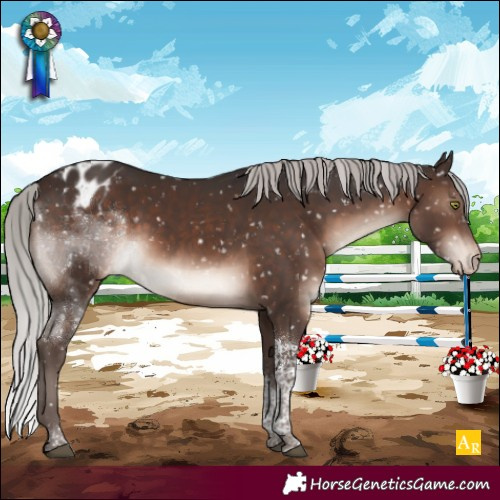Horse Color:Silver Brown Mushroom Tobiano Blanket Rabicano