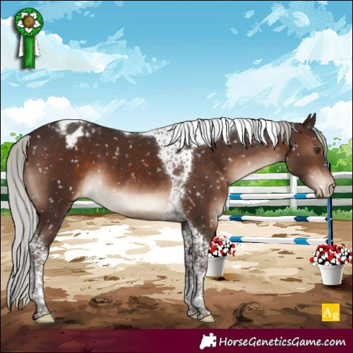Horse Color:Silver Brown Mushroom Tobiano Blanket