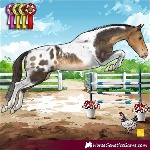 Horse Color:Buckskin Tobiano Blanket Rabicano