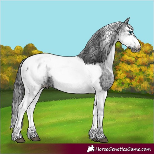 Horse Color:White Spotted Black Splash Tobiano Frame Blanket 