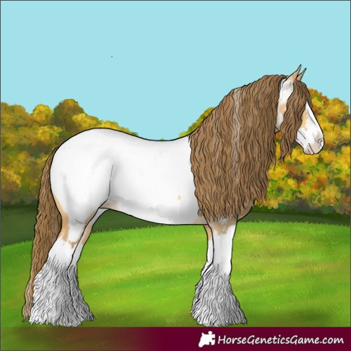 Horse Color:Buckskin Dun Splash Near Fewspot