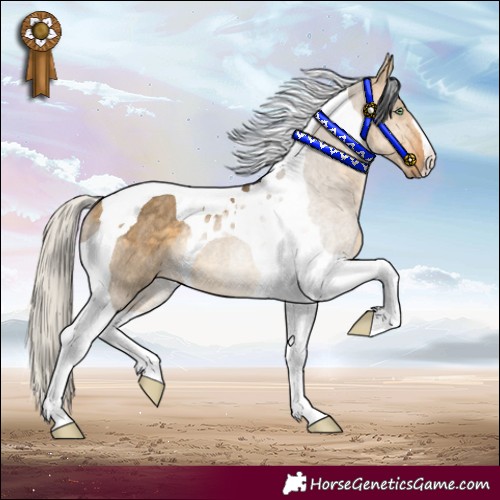 Horse Color:Silver Buckskin Dun Tobiano Rabicano