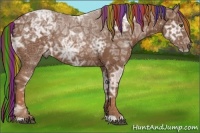 Horse Color:Painted Chestnut Ice