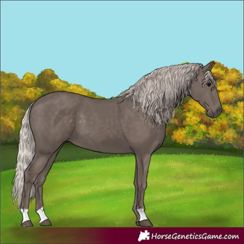 Horse Color:Silver Black 